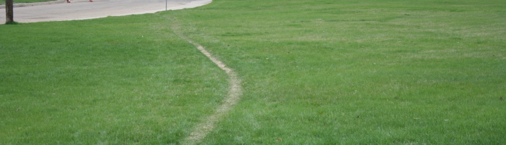 Theories of Space: Mapping Desire Lines in Edmonton